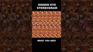 Eye exercise 6 hiddeneye stereogram magiceye [upl. by Pasol]