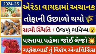 એરંડા વાયદામાં અચાનક તોફાની ઉછાળો થયો l Arenda na bhav l castor seeds l commodity trade [upl. by Ahsieit620]