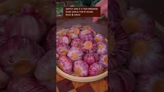 Trending Sweet Pickled Garlic Recipe  viral youtubeshorts shorts trending shortvideo short [upl. by Bernie]