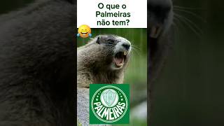 Zoando o Palmeiras palmeiras palmeirasnaotemmundial zoação zoeira comedia [upl. by Batty686]