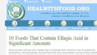 Foods That Contain Ellagic Acid [upl. by Read46]