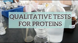 Qualitative Tests for Proteins [upl. by Eniruam990]