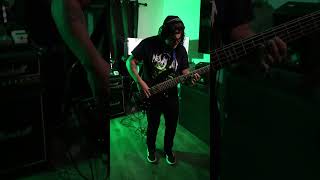 Steppenwolf  Born to be wild bass cover 60srock 70srock basscover [upl. by Eimrej]