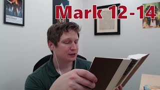 Mark 1214 ESV  Zach Lindquist Reads the Bible [upl. by Aiynot]