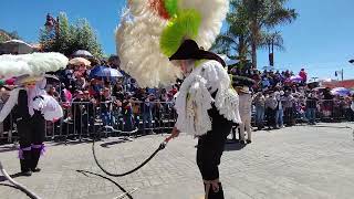 Carnaval Panzacola Tlaxcala [upl. by Oer]