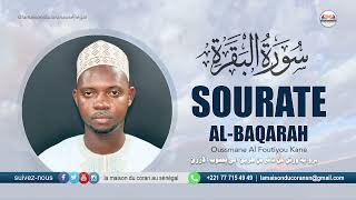 Ousmane Alfoutiyo Kane  Sourate alBaqarah  سورة البقرة N°2 · 286 VERSETS  Warch an naafi [upl. by Nibas]