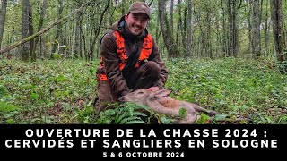 OUVERTURE DE LA CHASSE 2024  CERVIDÉS ET SANGLIERS EN SOLOGNE [upl. by Chobot]