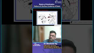 Explore the basics of Myelination patterns and surface Anatomy of Brain with Dr Shashank Raj [upl. by Tara]