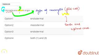 Microglia are ……… in origin [upl. by Nahsar]