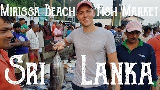 Sri Lankan Fish Market  Tuna Town Mirissa Beach [upl. by Brad153]