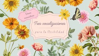 Tres vocalizaciones para entrenar ✨flexibilidad y mezcla✨ 🌞Voces masculinas🌞 [upl. by Nyved603]