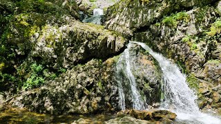 Cape Breton Waterfalls [upl. by Aronson161]