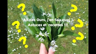 Lail des ours jen fais quoi  Recettes et astuces [upl. by Annavas]