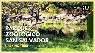 4K Walking Parque Zoologico Nacional in San Salvador El Salvador 2020 [upl. by Madigan]