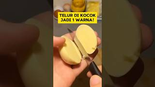 KOCOK 1 TELUR UTUH PAKE KAOS KAKI BAKAL JADI … [upl. by Hindorff230]