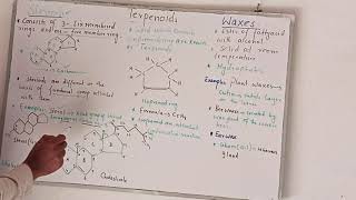 Steroids Terpenoids and Waxes 11 class biology MShafiq Academy [upl. by Tareyn939]