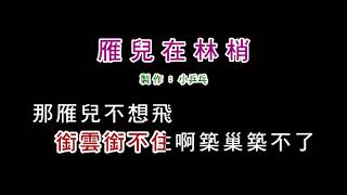 演唱版鳳飛飛雁兒在林梢DIY卡拉OK字幕 [upl. by Idnis]