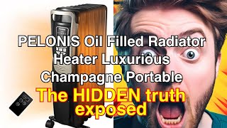 Pelonis oil filled radiator heater review luxurious champagne portable space heater with programmab [upl. by Alleda781]