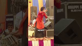 Pamma dumewal new punjabi song video WhatsApp stutes 2024 [upl. by Esinal801]