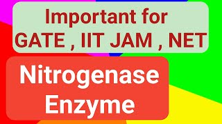 Nitrogenase Enzyme Metalloenzyme Structure amp Activity [upl. by Vange655]