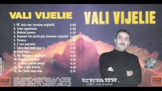 Vali Vijelie  Inima sagetatoare versiune originala [upl. by Hola602]