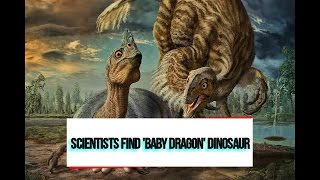 PaleoMania ep 5  Scientists Discover Baby Dragon Dinosaur Beibeilong [upl. by Atiekram950]