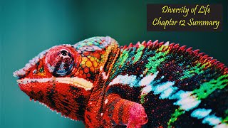 Diversity of Life  Chapter 12 Summary  Concepts of Biology English Reading Only [upl. by Hamrah]