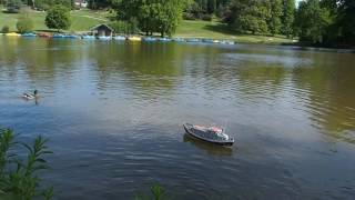 Ducks Geese and a RC Lifeboat at Dunorlan Park [upl. by Breger452]