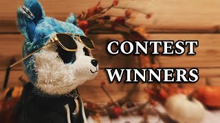 Beanie Boo custom contest WINNERS [upl. by Tevis561]