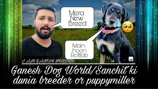 Breed With Rottweiler And Labrador Kya Yeh Hai Pet Lovers Ft Ganesh Dog World Ki Dunia  Scoobers [upl. by Llerrad]