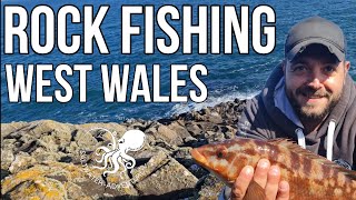 ROCK FISHING West Wales Sea fishing in Pembrokeshire [upl. by Oliva]