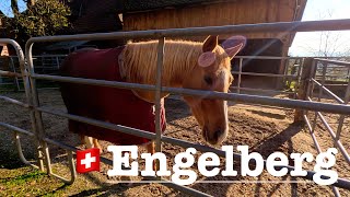 🇨🇭walkingtour  RELAXING ENGELBERG  healing [upl. by Engis]