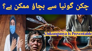 Chikungunya Fever Causes Signs and Symptoms Diagnosis amp Treatment  Dr Muqadus Official [upl. by Atirma296]