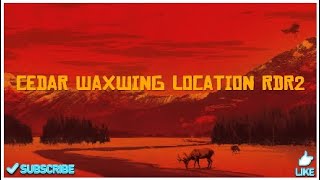 Cedar Waxwing location RDR2 [upl. by Gebelein]