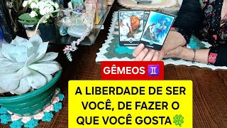 GÊMEOS ♊️ LIBERDADE🙌🏻 fazendo o que quer gostae realizando seu sonho da independência financeira 💰 [upl. by Eednak]