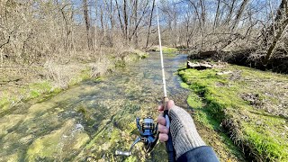 A BIG TROUT Lives in This Small Creek trout fishing [upl. by Alicec521]