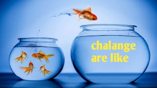 CHALANGE QUOTES  ATTITUDE BOYS  TheLateLateShow [upl. by Aitrop]