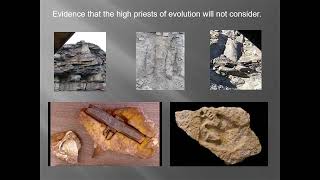 Paluxy Fossil Trackways of Dinosaur and Human Footprints [upl. by Jacobo]