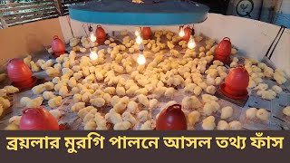 ব্রয়লার মুরগি পালনে আসল তথ্য ফাঁস 2023  polti murgi farm business 2023  উদ্যোক্তার কথা [upl. by Enitsugua]