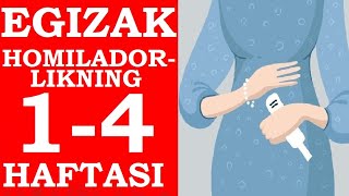 EGIZAK HOMILADORLIGINING 14 HAFTALARI  ЭГИЗАК ХОМИЛАДОРЛИГИНИНГ 14ХАФТАЛАРИ [upl. by Aneliram]