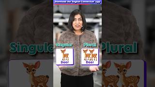 12 Irregular Plurals ✅ You Must Know 😱  Singular vs Plural Words  English Connection shorts [upl. by Einreb]