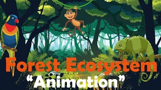 FOREST ECOSYSTEM  Biology Animation [upl. by Einhpets]