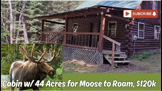 Maine Cabin w44 acres for Moose to Roam 120k [upl. by Weihs]