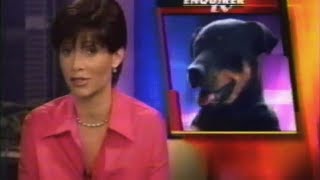 National Enquirer TV profile of dog bite Attorney Kenneth M Phillips [upl. by Jackson]