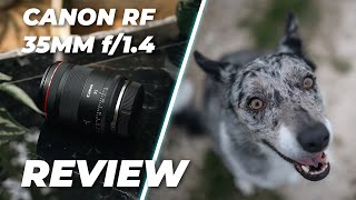 Canon RF 35mm f14L VCM Lens Review  The Ultimate Hybrid Lens [upl. by Anwahsak320]