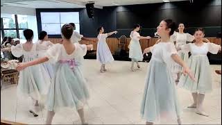 Apresentação de Ballet da Haifa [upl. by Ausoj]