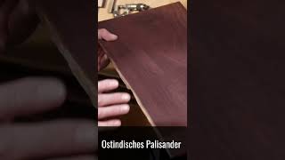 Ostindischer Palisander  Eine ProfiGitarre vom Guitar Doc shorts guitar building diy [upl. by Ney]