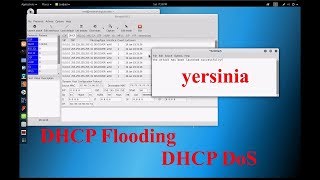 kali linux yersinia tool use [upl. by Skell]