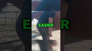 Mastering Horse Farrier Tools A quick preview for Beginners [upl. by Nessie]