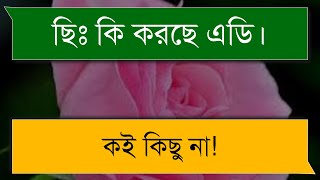 বোকা স্বামীর বাসর রাত  A Romantic Love Story Bangla  Tomar Feelings [upl. by Jurkoic]